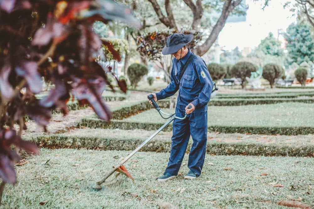 Gartenpflege von der Steuer absetzen